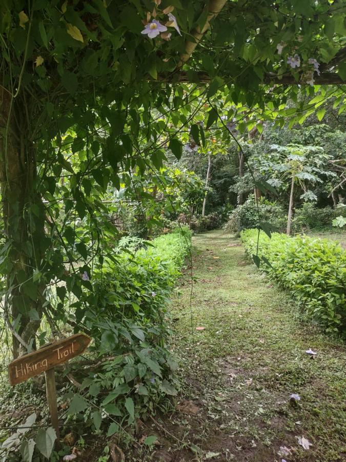 Finca Mystica Mérida Exterior foto