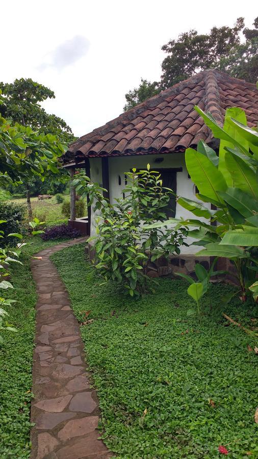 Finca Mystica Mérida Exterior foto