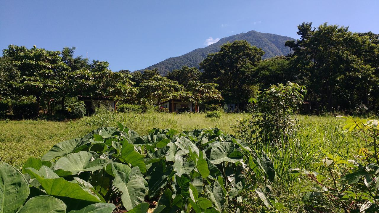 Finca Mystica Mérida Exterior foto