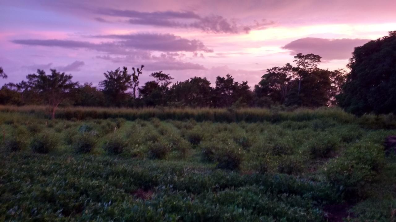 Finca Mystica Mérida Exterior foto